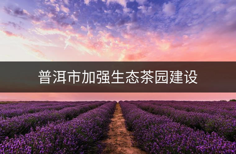 普洱市加強(qiáng)生態(tài)茶園建設(shè) 普洱市加強(qiáng)生態(tài)茶園建設(shè)