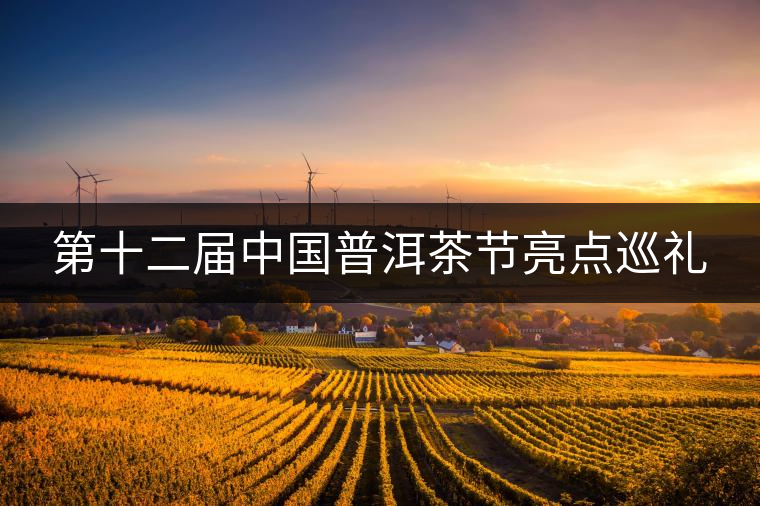 第十二屆中國普洱茶節(jié)亮點巡禮 第十二屆中國普洱茶節(jié)亮點巡禮