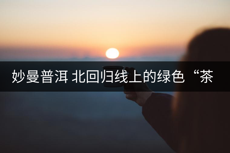 妙曼普洱 北回歸線上的綠色“茶都” 妙曼普洱 北回歸線上的綠色“茶都”