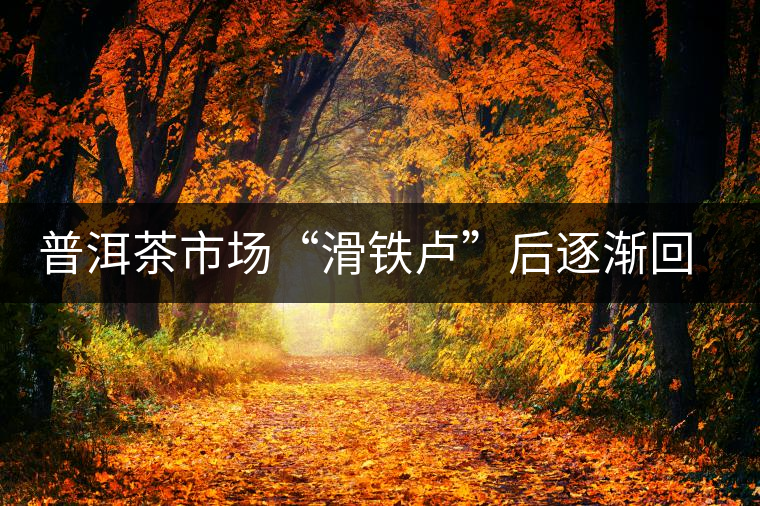 普洱茶市場(chǎng)“滑鐵盧”后逐漸回暖