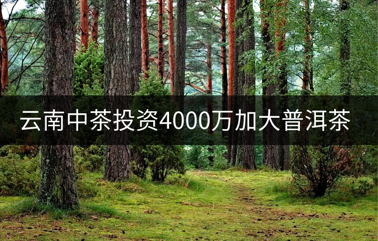 云南中茶投資4000萬加大普洱茶生產能力