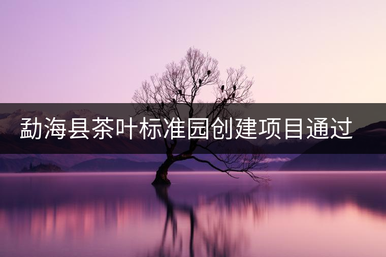勐?？h茶葉標(biāo)準(zhǔn)園創(chuàng)建項目通過省級驗收
