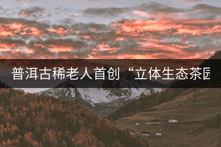 普洱古稀老人首創(chuàng)“立體生態(tài)茶園” 普洱古稀老人首創(chuàng)“立體生態(tài)茶園”