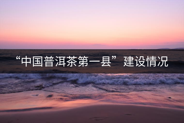 “中國(guó)普洱茶第一縣”建設(shè)情況匯報(bào) “中國(guó)普洱茶第一縣”建設(shè)情況匯報(bào)
