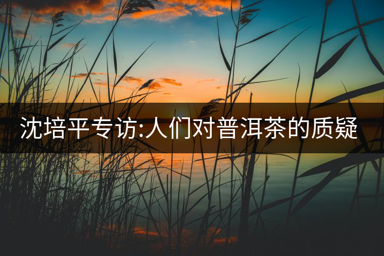 沈培平專訪:人們對(duì)普洱茶的質(zhì)疑有三大好處