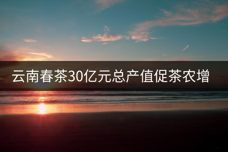 云南春茶30億元總產(chǎn)值促茶農(nóng)增收