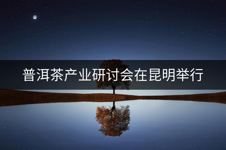 普洱茶產(chǎn)業(yè)研討會(huì)在昆明舉行 普洱茶產(chǎn)業(yè)研討會(huì)在昆明舉行