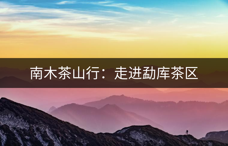 南木茶山行：走進(jìn)勐庫(kù)茶區(qū)