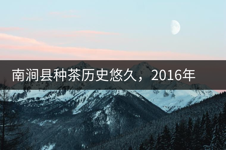 南澗縣種茶歷史悠久，2016年被評(píng)為全國(guó)十大生態(tài)產(chǎn)茶縣