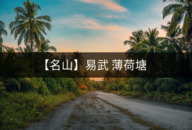 【名山】易武 薄荷塘