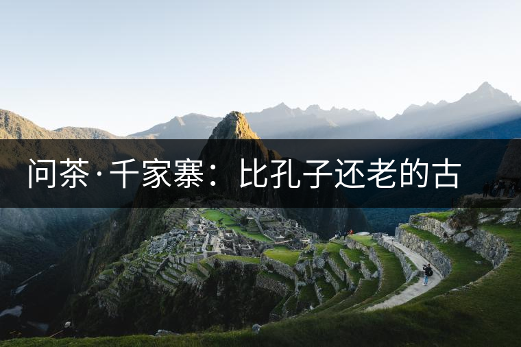 問(wèn)茶·千家寨:比孔子還老的古茶樹(shù) 問(wèn)茶·千家寨:比孔子還老的古茶樹(shù)