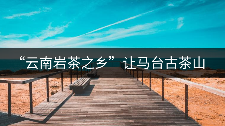 “云南巖茶之鄉(xiāng)”讓馬臺古茶山春暖花開