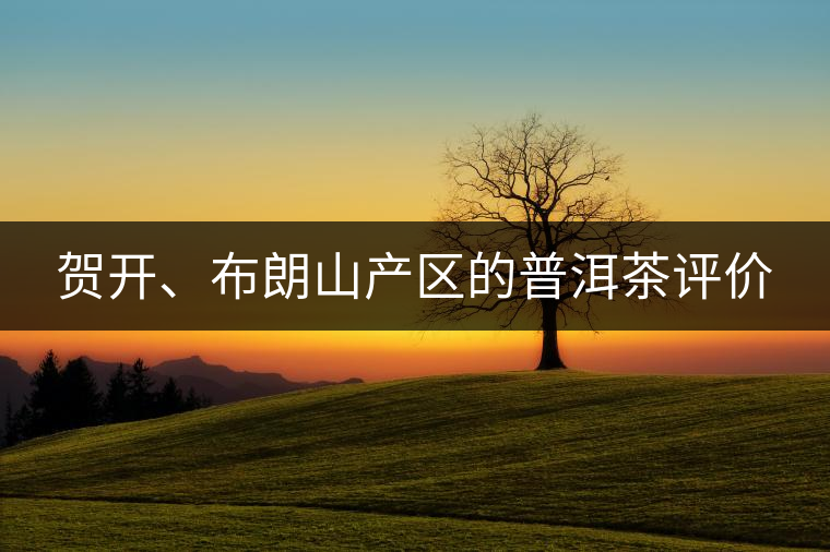 賀開(kāi)、布朗山產(chǎn)區(qū)的普洱茶評(píng)價(jià)