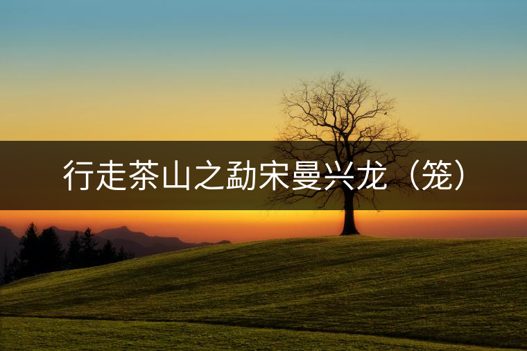 行走茶山之勐宋曼興龍（籠）