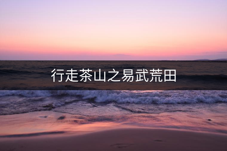 行走茶山之易武荒田