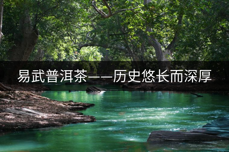 易武普洱茶——歷史悠長而深厚