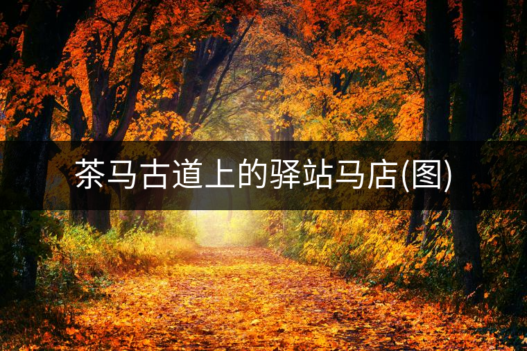 茶馬古道上的驛站馬店(圖) 茶馬古道上的驛站馬店(圖)