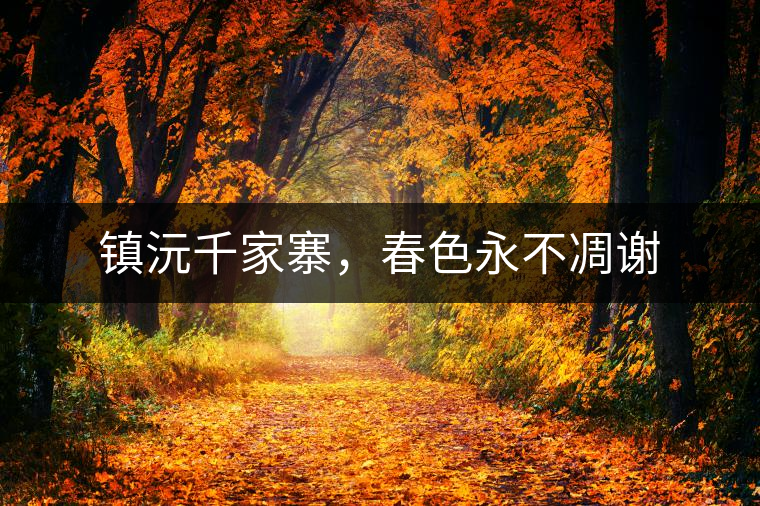 鎮(zhèn)沅千家寨，春色永不凋謝