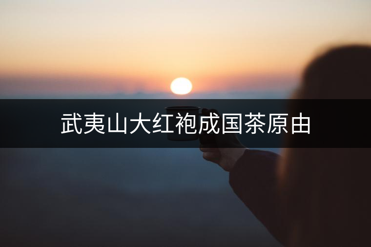 武夷山大紅袍成國(guó)茶原由