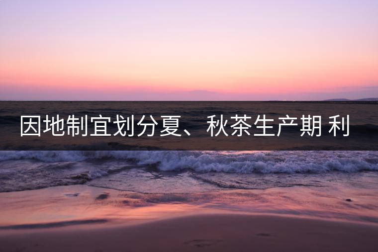 因地制宜劃分夏、秋茶生產(chǎn)期 利于采摘品質(zhì)