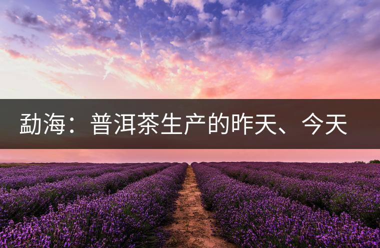 勐海：普洱茶生產(chǎn)的昨天、今天、明天