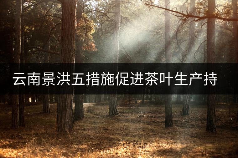 云南景洪五措施促進茶葉生產(chǎn)持續(xù)發(fā)展