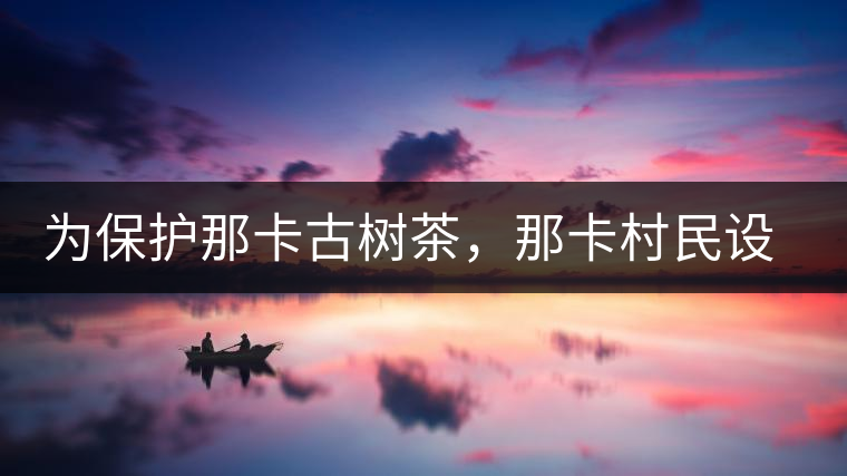 為保護(hù)那卡古樹茶，那卡村民設(shè)公約牌