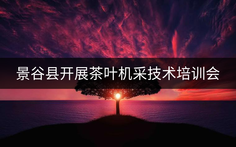 景谷縣開展茶葉機(jī)采技術(shù)培訓(xùn)會(huì) 景谷縣開展茶葉機(jī)采技術(shù)培訓(xùn)會(huì)