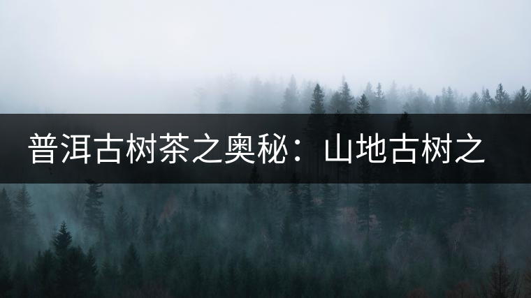 普洱古樹(shù)茶之奧秘：山地古樹(shù)之美