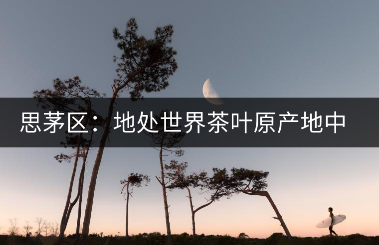 思茅區(qū)：地處世界茶葉原產(chǎn)地中心
