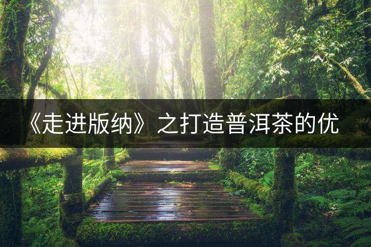 《走進版納》之打造普洱茶的優(yōu)質基地