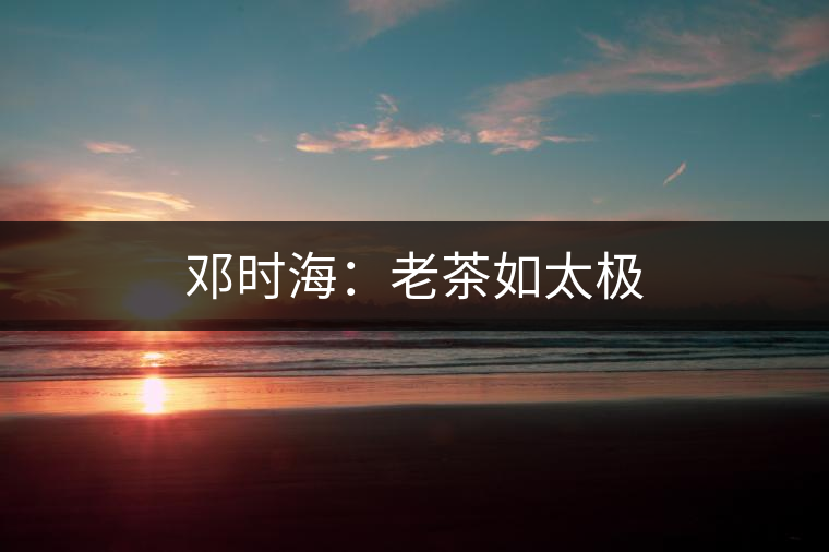 鄧時(shí)海:老茶如太極 鄧時(shí)海:老茶如太極