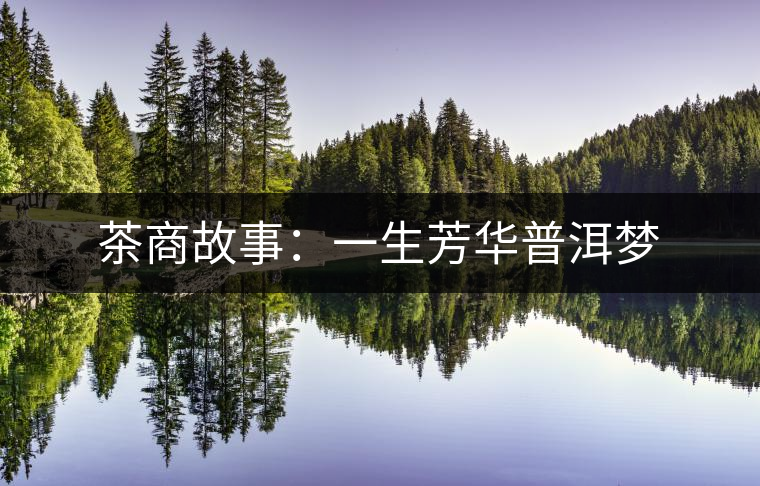 茶商故事:一生芳華普洱夢 茶商故事:一生芳華普洱夢