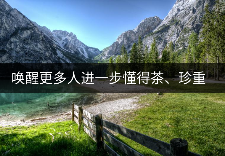 喚醒更多人進(jìn)一步懂得茶、珍重茶、享受茶