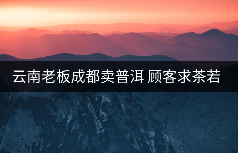 云南老板成都賣普洱 顧客求茶若渴寶石相贈