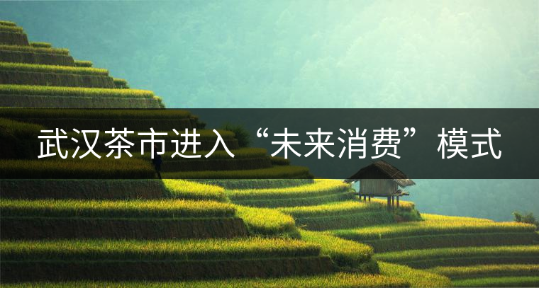 武漢茶市進入“未來消費”模式 武漢茶市進入“未來消費”模式