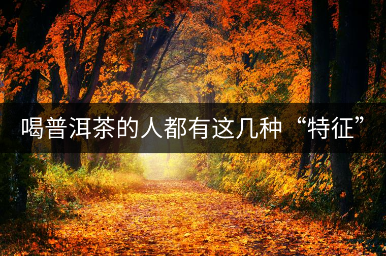 喝普洱茶的人都有這幾種“特征” 喝普洱茶的人都有這幾種“特征”