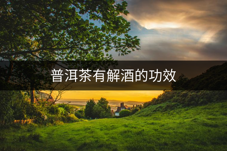 普洱茶有解酒的功效