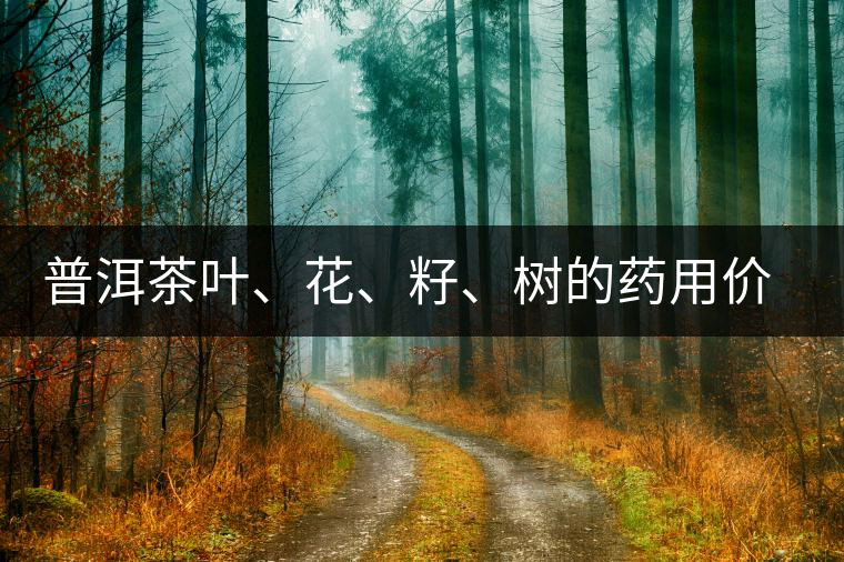 普洱茶葉、花、籽、樹的藥用價值