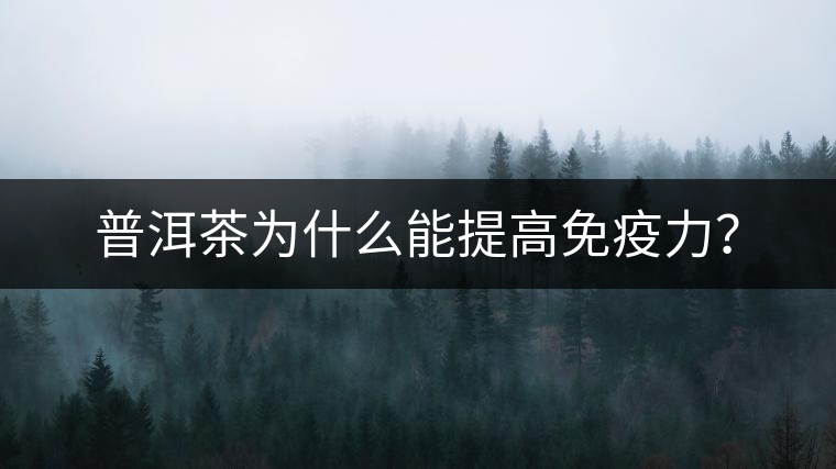 普洱茶為什么能提高免疫力？