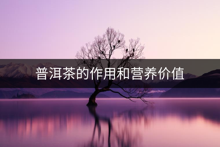 普洱茶的作用和營(yíng)養(yǎng)價(jià)值