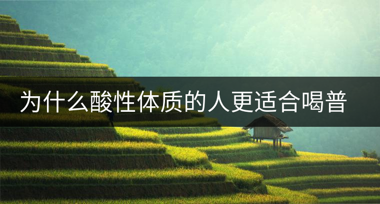 為什么酸性體質(zhì)的人更適合喝普洱茶？