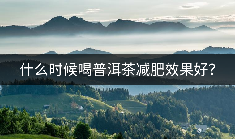 什么時(shí)候喝普洱茶減肥效果好？
