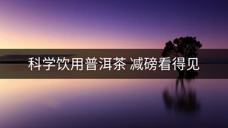 科學(xué)飲用普洱茶 減磅看得見