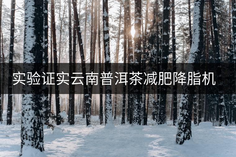 實驗證實云南普洱茶減肥降脂機制 實驗證實云南普洱茶減肥降脂機制