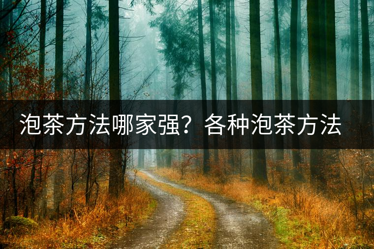 泡茶方法哪家強(qiáng)？各種泡茶方法介紹