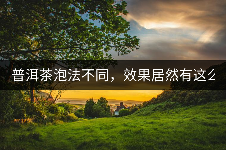 普洱茶泡法不同，效果居然有這么大區(qū)別！