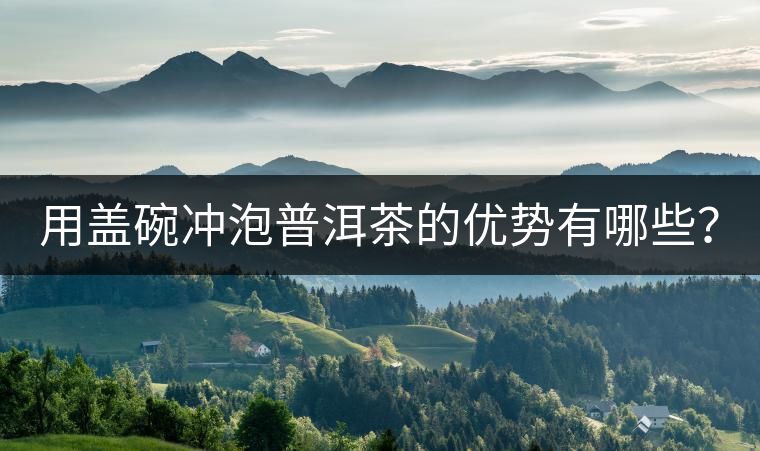 用蓋碗沖泡普洱茶的優(yōu)勢有哪些？