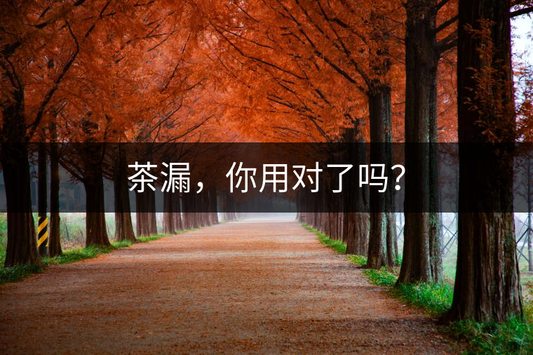 茶漏，你用對(duì)了嗎？
