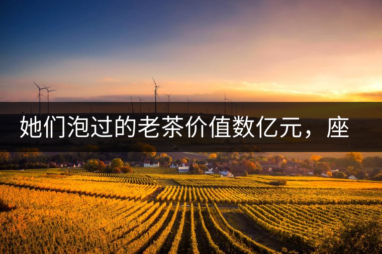 她們泡過(guò)的老茶價(jià)值數(shù)億元，座上賓是余秋雨、李云迪……